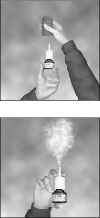 FLUTICASONE PROPIONATE GSK_1210655_PIL_121065511x1