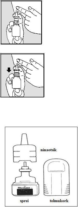 FLUTICASONE PROPIONATE GSK_1210655_PIL_12106556x1